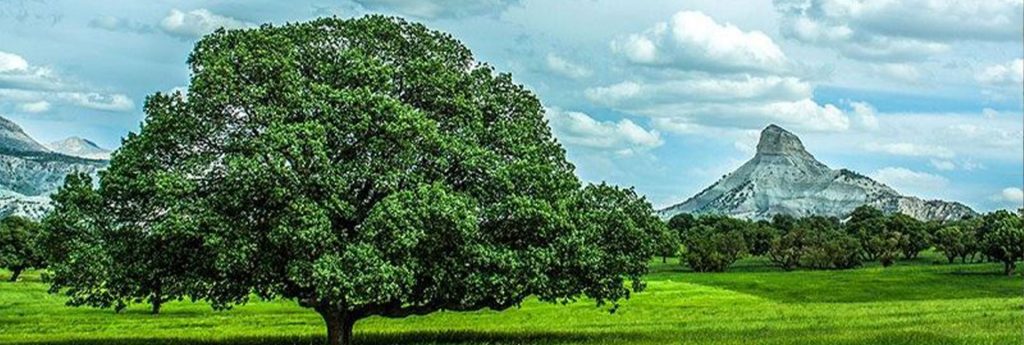 هدر قلاقیران